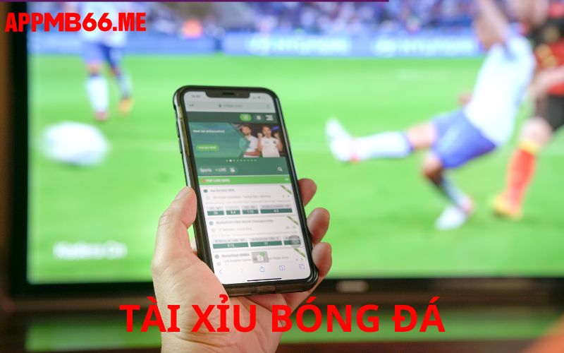 Các điều cơ bản về tài xỉu bóng đá 